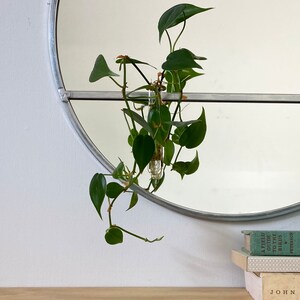 Circle Mirror Plant Propagator Handmade 18 Round Wall Mirror Modern Silver Metal Frame Flux Glass House Plant Flower Vase Propagation image 2