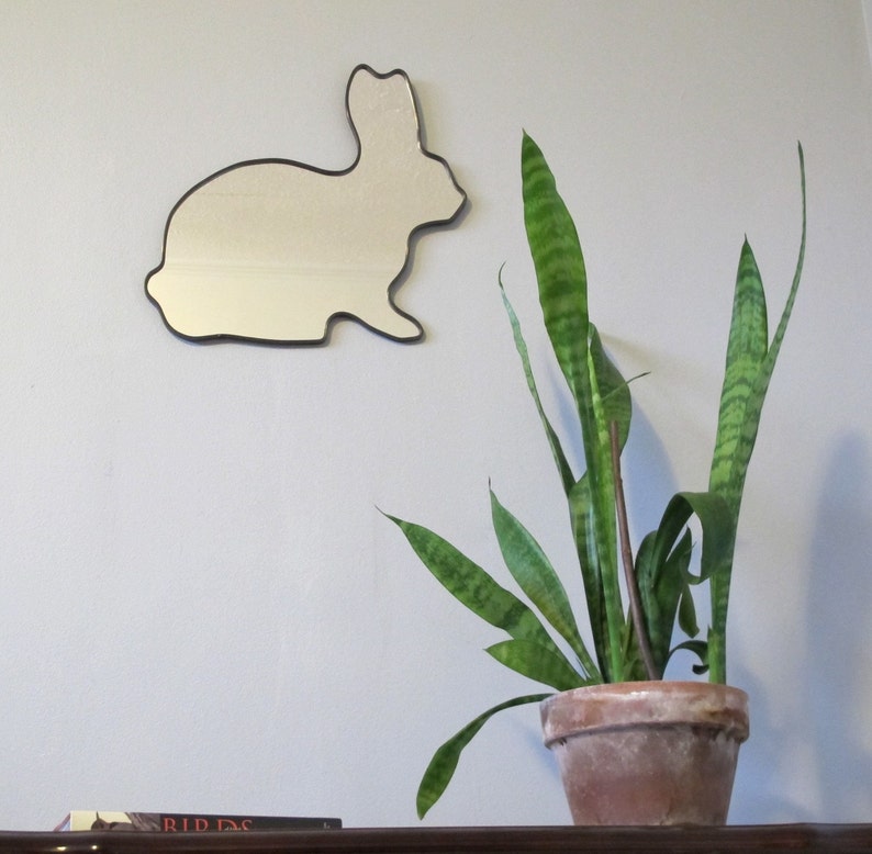 Puede incluir: Una planta serpiente en maceta con hojas verdes en una maceta de terracota contra una pared blanca con un espejo con forma de conejo en la pared.