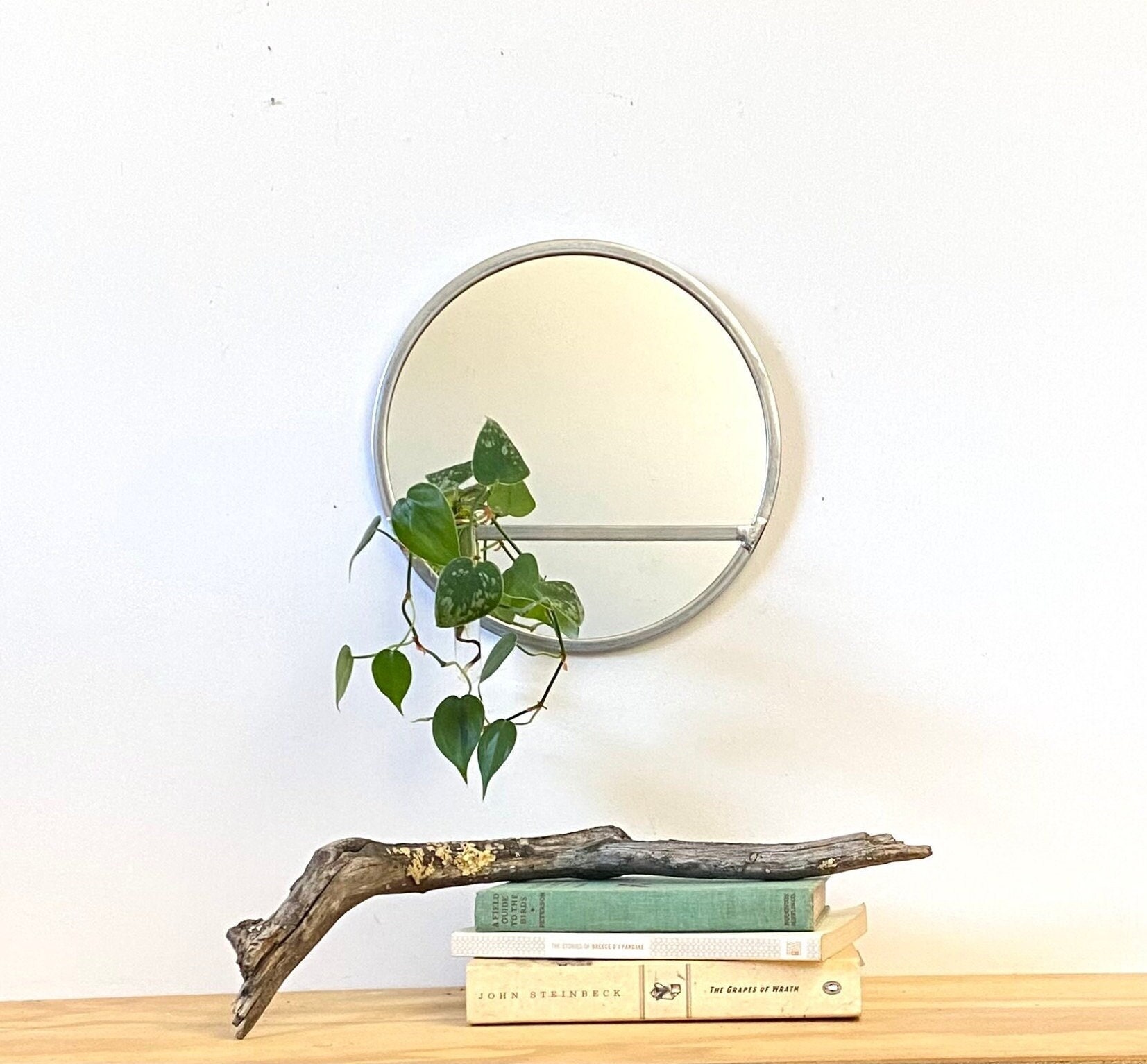 Small Circle Mirror Plant Propagator Test Tube Vase 10" Round Wall Mirror Modern Silver Zinc Frame House Plant Cutting Flower Propagation