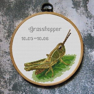 May include: A cross-stitch embroidery of a grasshopper on a green leaf, framed in a wooden hoop. The word "grasshopper" is stitched above the insect, with the numbers "10.05-10.06" below. The grasshopper is primarily green and brown.