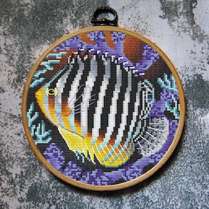 Fish Cross Stitch Pattern Multi Barred Angelfish Download PDF