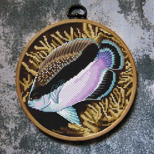 Fish Cross Stitch Pattern Banded Аngelfish Download PDF
