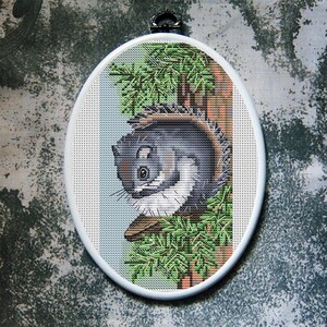 May include: Oval cross-stitch embroidery of a gray squirrel perched on a tree branch, surrounded by green pine needles. The squirrel has a fluffy tail and is set against a light blue and brown background. The embroidery is framed in a white oval hoop.