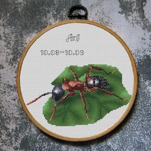 May include: Cross-stitch embroidery in a wooden hoop featuring a detailed ant on a green leaf. The word "Ant" and the date "10.08-10.09" are stitched above the ant. The ant is brown and black.