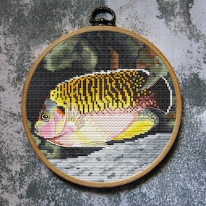 Fish Cross Stitch Pattern Tiger Аngelfish Download PDF
