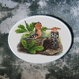 May include: Cross-stitch embroidery of two hoopoe birds perched on a log with green leaves. The birds have orange crests, black and white wings, and long beaks. The embroidery is set in a white oval frame.