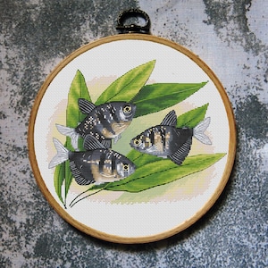 Fish Cross Stitch Pattern Black Tetra Download PDF