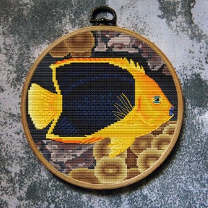 Fish Cross Stitch Pattern Rock Beauty Angelfish Download PDF