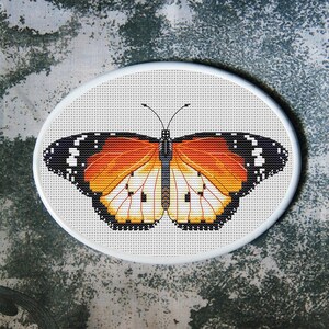Padrão de Ponto Cruz de Borboleta Danaus Chrysippus Baixar PDF