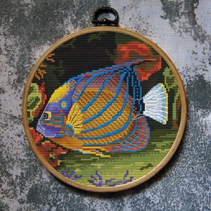 Fish Cross Stitch Pattern Blue Ring Angelfish Download PDF