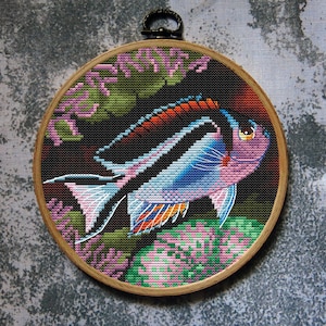 Fish Cross Stitch Pattern Bellus Angelfish Download PDF