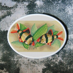 Fish Cross Stitch Pattern Tiger Barbs Download PDF