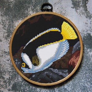 Fish Cross Stitch Pattern Аngelfish Ballina Download PDF