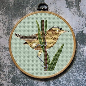 Sedge Warbler Bird Cross Stitch Pattern Summer Download PDF