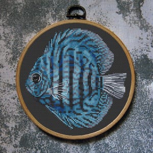 Fish Cross Stitch Pattern Discus Turquis Download PDF