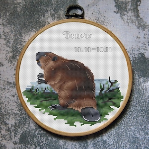 May include: A cross-stitch embroidery of a beaver in a wooden hoop. The beaver is brown with a black nose and tail, sitting on green foliage. The text "Beaver" and "10.10-10.11" are stitched above the beaver.