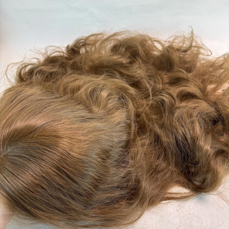Long Wavy Brown Lace Front Wig, High Temperature Fiber Hair, 24 Inch image 4