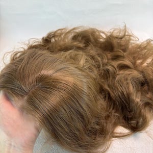 Long Wavy Brown Lace Front Wig, High Temperature Fiber Hair, 24 Inch image 2