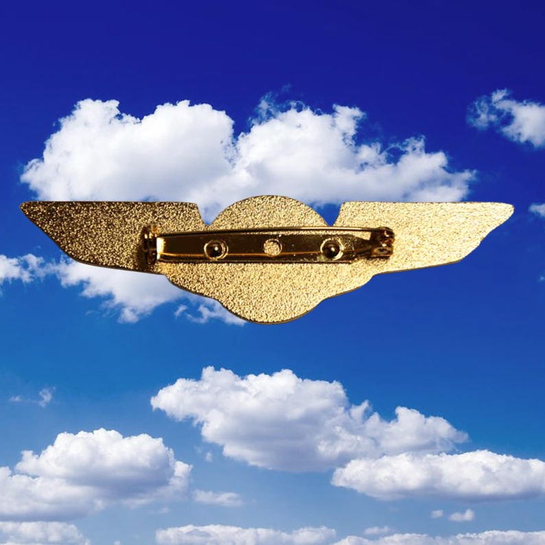 Nathan Fielder Pilot Wings Die-cast Pin – Inspired by the Rehearsal ...