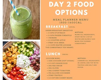 May include: Day 2 food options meal planner menu with 1500-1600 calories. Breakfast includes a green smoothie with spinach, frozen pineapple, banana, apple, and chia seeds. Lunch includes a chicken bowl with cooked rice, red onion, olives, cherry tomatoes, sliced cucumber, tzatziki, and red kidney beans.