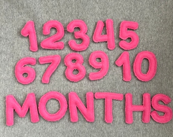 Hand Stitched Felt Baby Milestone Tracker: Numbers & 'Months'