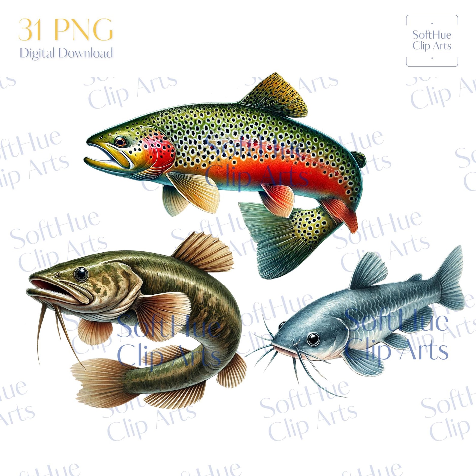 Freshwater Fish Clipart Bundle, 31 Watercolor Fishing Pngs, Bass Trout ...