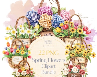 Frühlings Blumen Clipart Bundle, Aquarell Blumen Clipart, Frühling Png Designs, Frühlingsblumen, Frühlingsgrafiken, mit kommerzieller Nutzung
