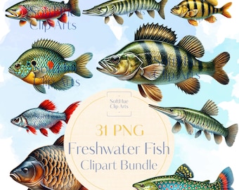 Freshwater Fish Clipart Bundle, 31 Watercolor Fishing PNGs, Bass Trout Catfish Perch Illustrations, Digital Lake Fish Art, Commercial Use