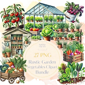 27 Légumes du jardin rustiques Clipart PNG Bundle – aquarelle de légumes frais de la ferme, téléchargement numérique, usage commercial