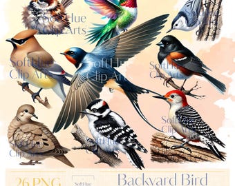 Backyard Bird Clipart Bundle, 26 Watercolor Songbirds PNG, North American Birds ClipArt, Cardinal, Hummingbird, Robin, Blue Jay, Spring Bird