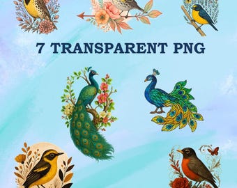 Birds PNG Collection, Minimalist Watercolor Prints, Creative Bundle