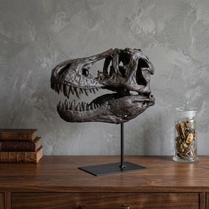 Könnte beinhalten: Eine detaillierte, dunkelbronze-farbene Nachbildung eines Tyrannosaurus Rex-Schädels, montiert auf einem schwarzen Metallständer. Der Dinosaurierschädel weist scharfe Zähne und eine komplizierte Knochenstruktur auf, die auf einer Holzoberfläche ausgestellt ist.