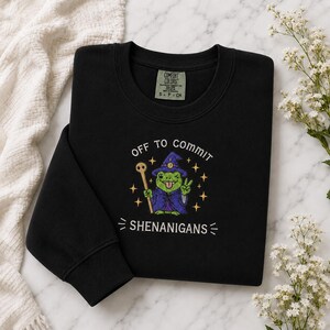 May include: Black sweatshirt featuring the phrase "OFF TO COMMIT SHENANIGANS" and a cartoon frog in a wizard hat and robe. The frog is green with a purple hat and robe, holding a staff. The sweatshirt has a crew neck and long sleeves.