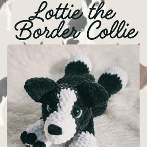 Könnte beinhalten: Ein handgehäkelter Border Collie Hund namens Lottie. Das Stofftier ist schwarz und weiß, mit einer flauschigen Textur. Der Hund liegt auf einer weißen, strukturierten Oberfläche. Der Text "Lottie the Border Collie" steht über dem Hund.