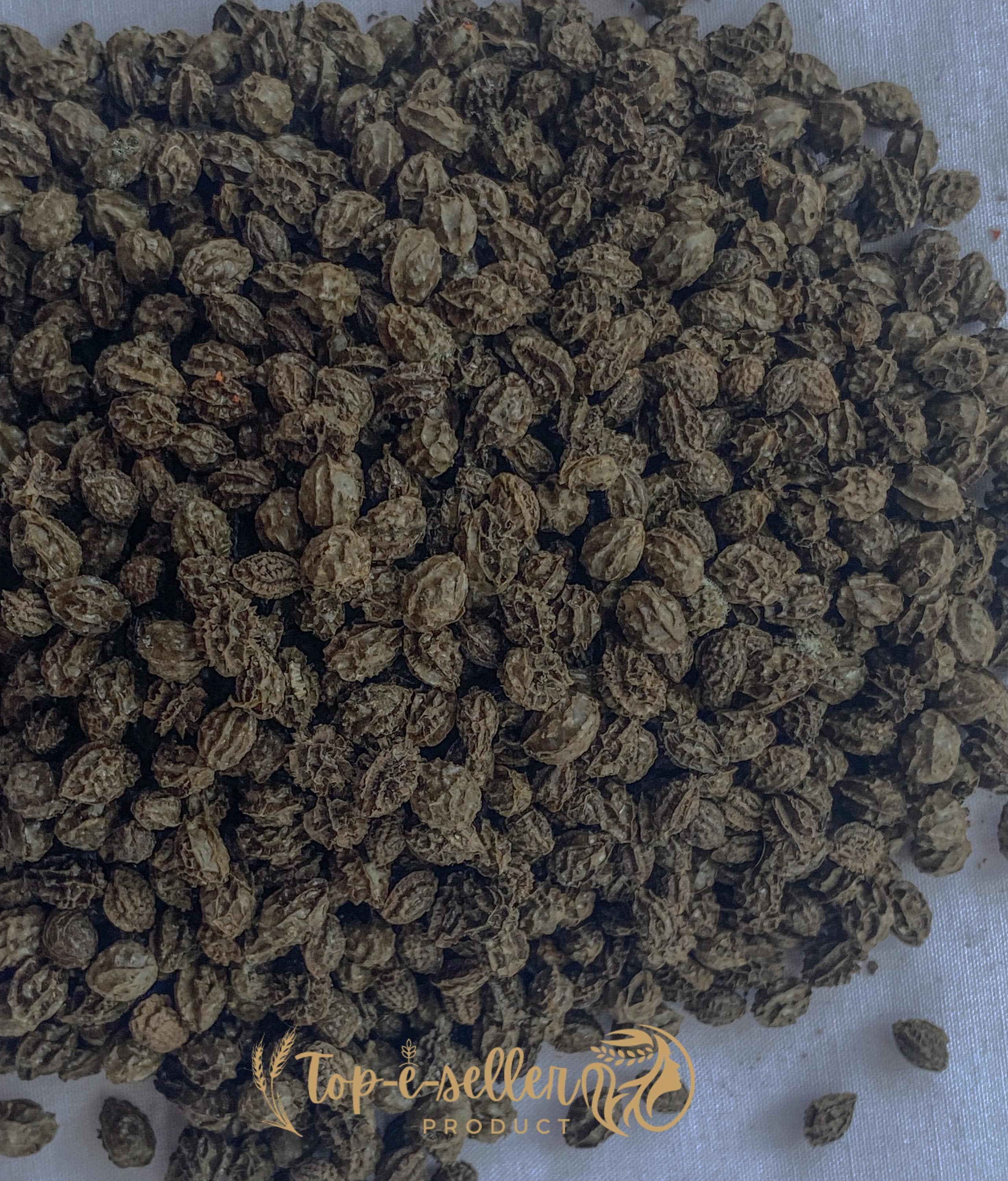 Papaya Seeds 50g Dwarf Papaya | 50g fresh seeds 2025 | Same Day Dispatch 200+ seeds paw paw seeds