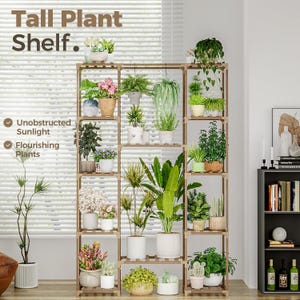 May include: A tall wooden shelf with multiple shelves, filled with potted plants. The shelf is labeled "Tall Plant Shelf." The text "Unobstructed Sunlight" and "Flourishing Plants" is also visible on the image.