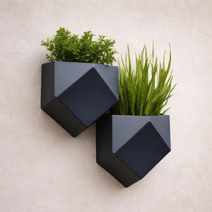Könnte beinhalten: Zwei geometrische, dunkelgraue Wandpflanzgefäße mit lebendem Grün. Die Pflanzgefäße haben ein modernes, eckiges Design und sind an einer hellen Wand befestigt. Eines enthält kleine, belaubte Pflanzen, das andere hohe, schlanke grüne Pflanzen.
