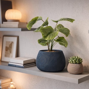 Può includere: Una scena di arredamento per la casa con una pianta a foglie grandi in un vaso blu strutturato e una piccola succulenta in un vaso beige. I vasi sono su una mensola grigia, insieme a libri, un quadro incorniciato e una lampada decorativa.