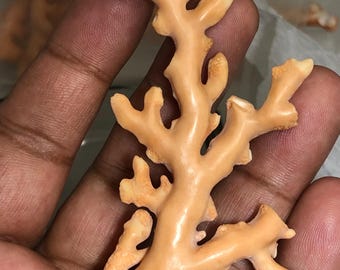 Natural Coral Rough Branch • Genuine Sea Specimen for Jewelry Making, Beach Decor, 67.625 carat