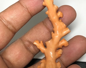 Natural Coral Branch Specimen | Organic Skeleton, Coastal Decor, Collector Piece | 10.211 grm