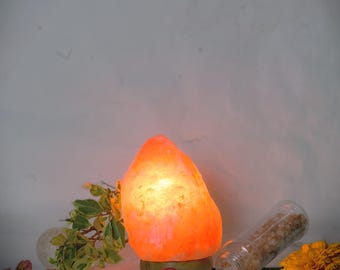 Hand-Carved Himalayan Salt Lamp | Wellness Home Decor, Customizable