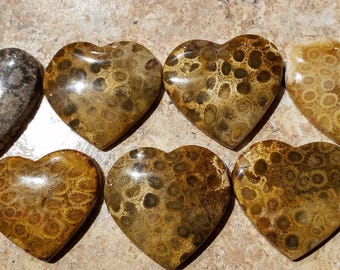Fossil Coral Carved Hearts, Fossil Coral, Unusual Gift, Beautifully Marked, 35mm