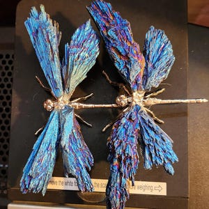 Aura Kyanite Crystal Dragonfly, Peacock, Blue, Purple Kyanite Crystal with Titanium Aura, Healing Decor Gift , Metaphysical Properties Etsy