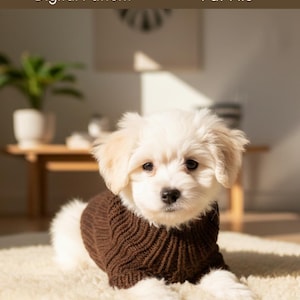 Dog Sweater Knitting Pattern | Top Down Knit Dog Jumper | Easy to Advanced Pet Sweater Pattern | Small Medium Large Dog Clothes PDF