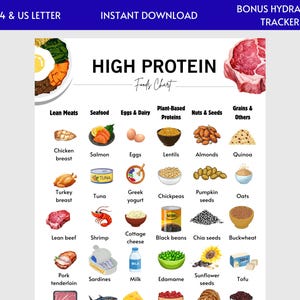 High Protein Food List High Protein Sources Foods List High Protein Rich Foods  Protein Chart Low Carb Food & Keto Diet Food List Printable