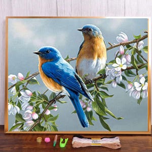 Cross Stitch Kit, Bird Cross Stitch, Cross Stitch Art, Embroidery, Embroidery Kit, Embroidery Design, Hand Embroidery, Stamped Aida
