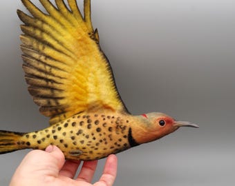 Handmade Flicker - bird sculpture - original art - needle felted animal painting