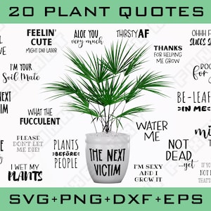 20 plantencitaten SVG | Grappig tuinieren gesneden bestand | Kamerplant plant pot sticker humor clipart | Digitale download Cricut silhouet