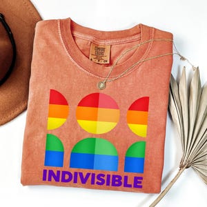 May include: A terracotta-colored t-shirt featuring a graphic of six semi-circular and circular shapes arranged in two rows, colored in a rainbow gradient. The word INDIVISIBLE is printed in bold purple capital letters below the graphic design.