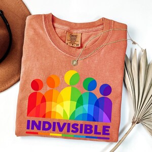 May include: A terracotta-colored t-shirt featuring a graphic of five stylized figures in a rainbow gradient of red, orange, yellow, green, blue, and purple. The word INDIVISIBLE is printed in bold purple capital letters below the figures.